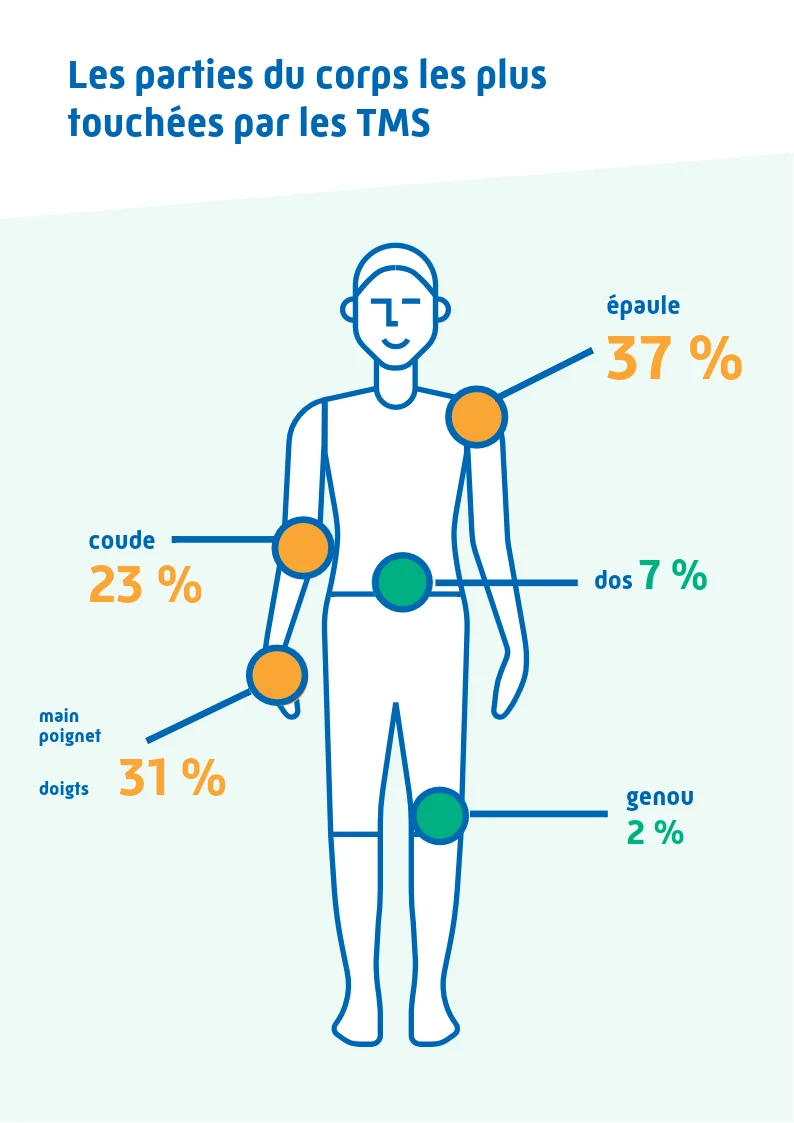 Infographie Ameli : parties du corps les plus touchées par les TMS