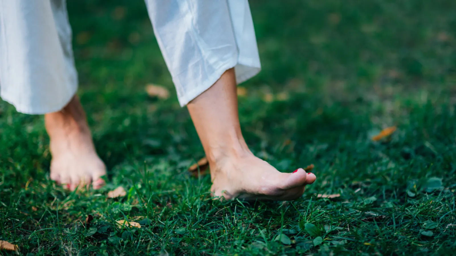 Les entrées sensorielles et le contrôle postural : quel rôle pour les yeux, les pieds, l’ATM et les dents ?